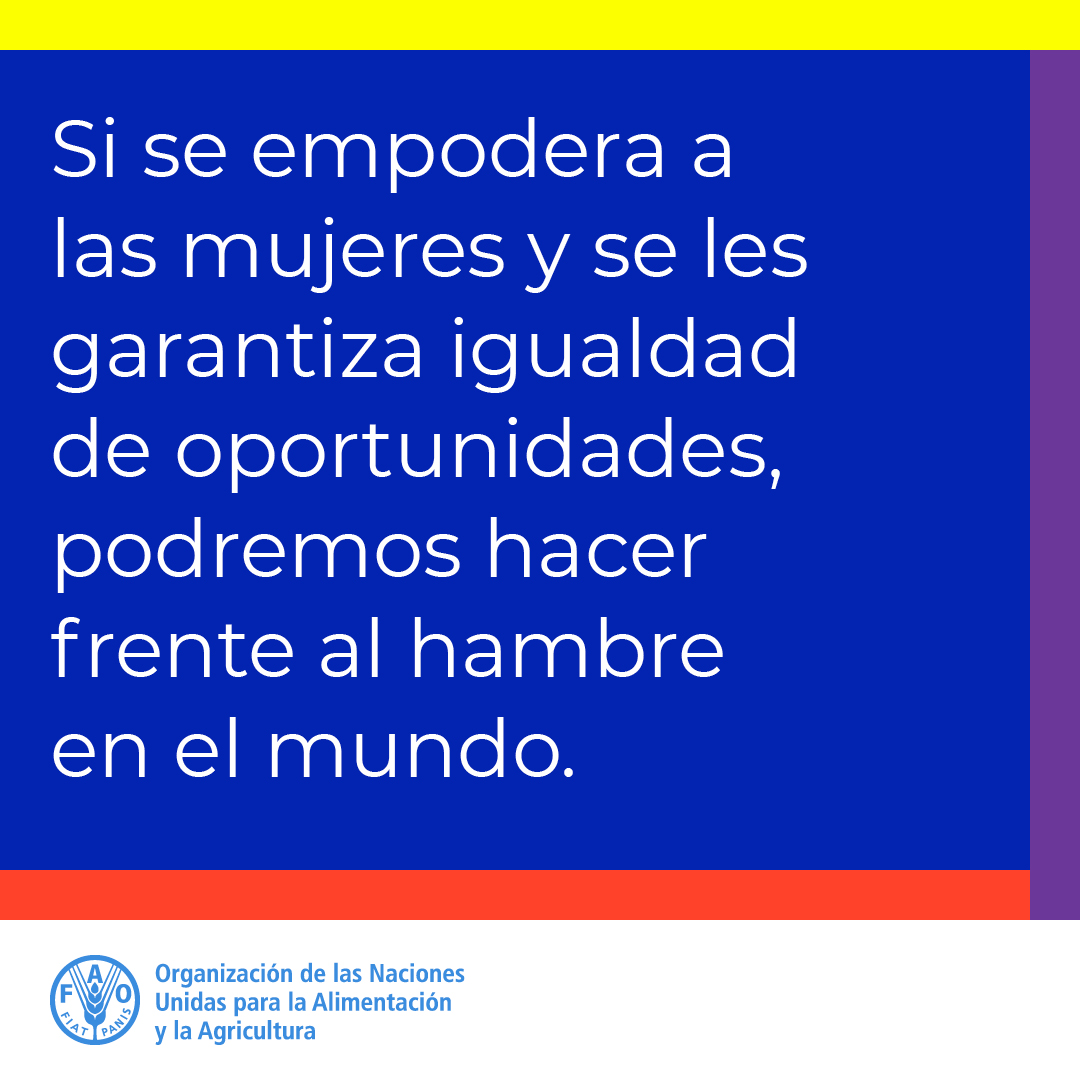 FAOEcuador's tweet photo. 🟣 Cerrar la brecha de género en los sistemas agroalimentarios y empoderar a las mujeres reduce el hambre, estimula la economía y fortalece la resiliencia.

#CultivemosLaIgualdad
💪 https://t.co/ZbMHQUqX4c https://t.co/1Hbzo1Arqc