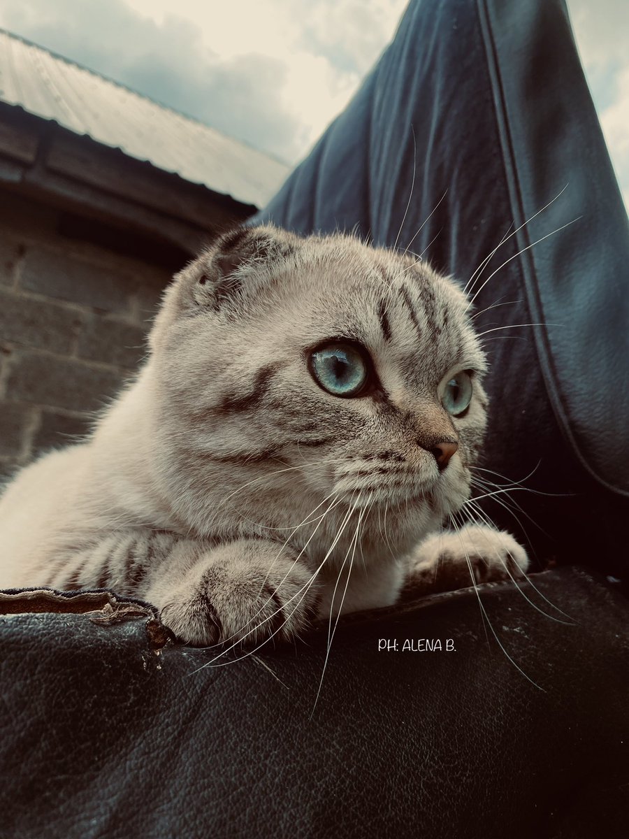 Я не могу оторвать взгляд от этой фотографии💔