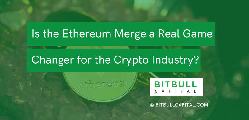 BitBull Capital tweet media