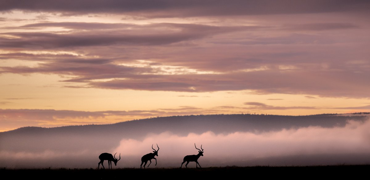 Every sunrise is a canvas waiting to be painted with the beauty of possibility. This might, just *might*, be my favourite photo I've ever taken.