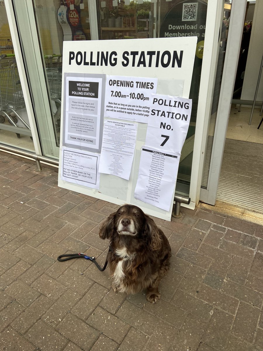 SarahStackhous1's tweet photo. Charlie waiting patiently while I cast my vote  #dogsatpollingstations https://t.co/aiS9te74vA