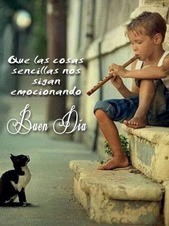 Tere Hdez. (@there226) on Twitter photo 