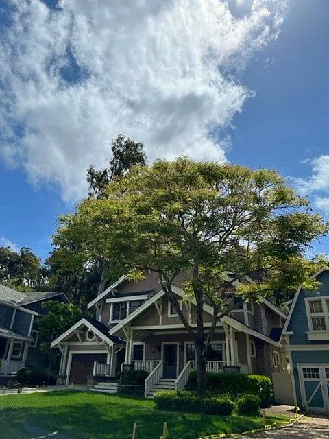 UniStudiosLot's tweet photo. The beautiful #trees on Colonial Street make this #filming location look like an authentic neighborhood cul-de-sac! 🌳 🏡
#OntheLot #OutdoorFilming #Backlot https://t.co/ILgDaoqTZx