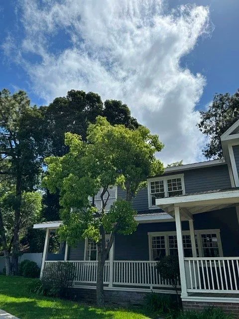 UniStudiosLot's tweet photo. The beautiful #trees on Colonial Street make this #filming location look like an authentic neighborhood cul-de-sac! 🌳 🏡
#OntheLot #OutdoorFilming #Backlot https://t.co/ILgDaoqTZx
