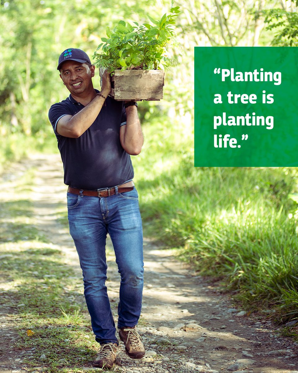 Rare_org's tweet photo. "We started to plant trees to improve the soil. But there are other benefits too. Not only do trees protect the water source, they provide a biological corridor for new fauna, flora, and native species to return and help the land recover.” —#LandsForLife Program Coordinator Alexander Rojas in Meta, Colombia