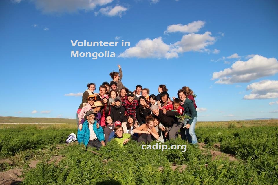 CADIP's tweet photo. 2-week #volunteering in an #organic #farming training center in #Mongolia from May 25th to June 7th. Join now: https://t.co/uOb3pgZy00
#VolunteerAbroad #TravelWithPurpse #Socialimpact #sustainable #ecofarming https://t.co/hQ5mOqgubR