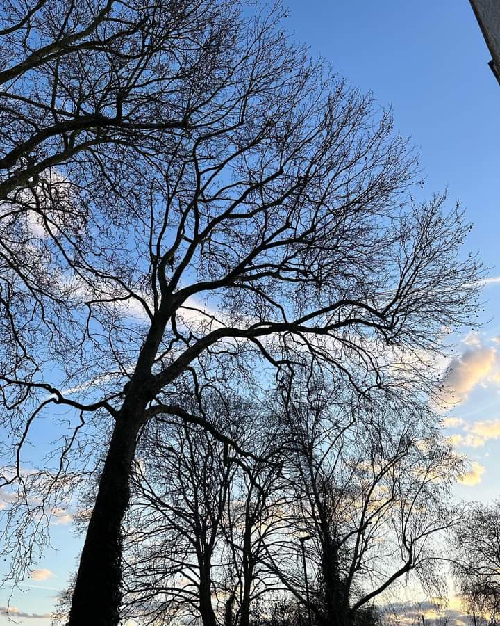 _eric_nam's tweet image. londontown