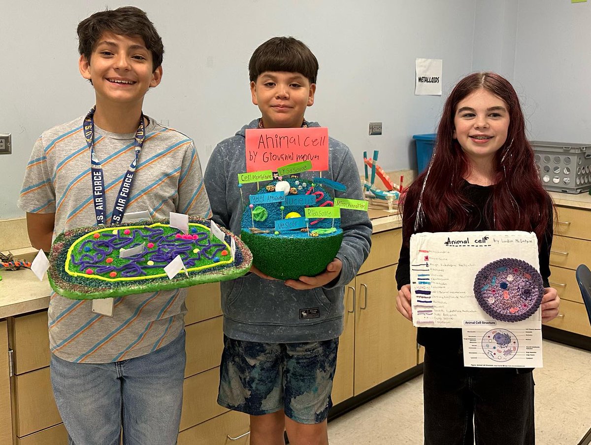 WhiteOak_MS's tweet photo. Our 6th grade science students did a phenomenal job crafting various cell structures! Students used a variety of materials for this project including styrofoam, candy, paint, yarn, etc. our students are artistic and demonstrated a great understanding of science! #woms_warriors #w https://t.co/FJFq32eux9