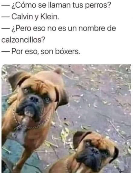 RickyVzla3's tweet photo. Jajajajajajaja… Ce’sM ����🤣🤣🤣🤣🤣🤣 https://t.co/m8EZub97nS