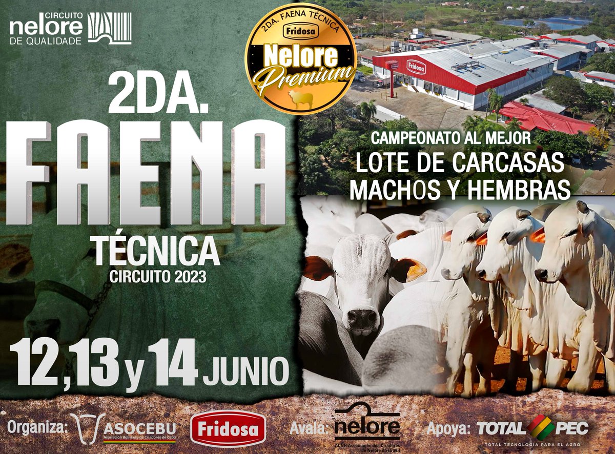 fridosabol's tweet photo. ¡ Se acerca la 2da Faena Técnica - Circuito 2023!

El 12, 13 y 14 de junio se realizarán las evaluaciones y premiación a los mejores lotes de Carcasas Macho y Hembra de la Raza Nelore de Bolivia 🏅

#Fridosa 1 año más apostando por la mejora continua del rubro ganadero 💪🏼 https://t.co/uXfqQCLYbD