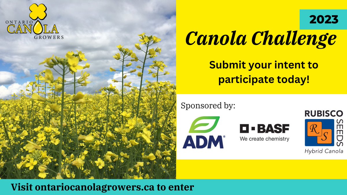 OntCanolaGrower's tweet photo. Now calling for entries for the 2023 Canola Challenge!

1st Place $2000 
2nd Place $1000 
3rd Place - $500

Winter Canola Entry Form - https://t.co/EuouQDfzsH
Spring Canola Entry Form - https://t.co/nwGbJQqwT0

Visit https://t.co/6HqWjFdjey for more info. https://t.co/SO7oPquamA