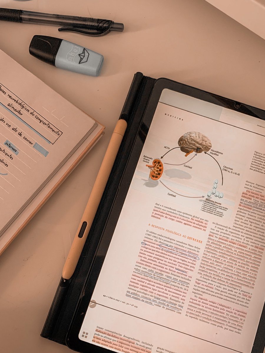 hanepsico's tweet image. ✿˚◞ ONDE ENCONTRAR CURSOS E EVENTOS GRATUITOS PARA SUA FORMAÇÃO EM PSICOLOGIA 

uma thread para estudantes de psicologia  #studytwt #collegetwt