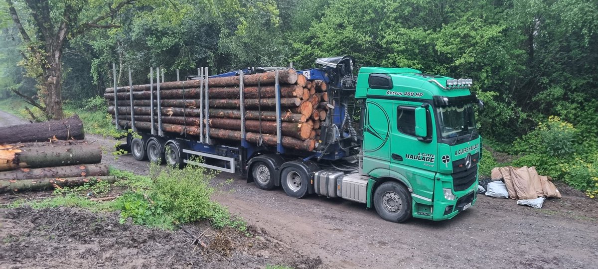 I know it's not straight but them bitey backstards are back...so fire it up ta feck.....