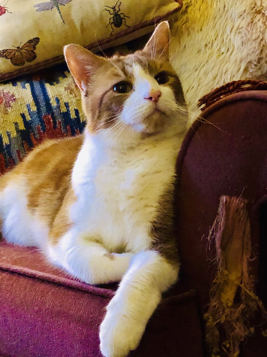 Jan Kuhnert tweet media