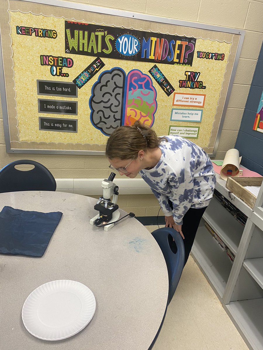 Today we looked at the cells of an onion bulb through a microscope! Some of my favorite reactions: “Eww!” “That looks weird” “They look like bricks!” “It looks like an iPhone background”