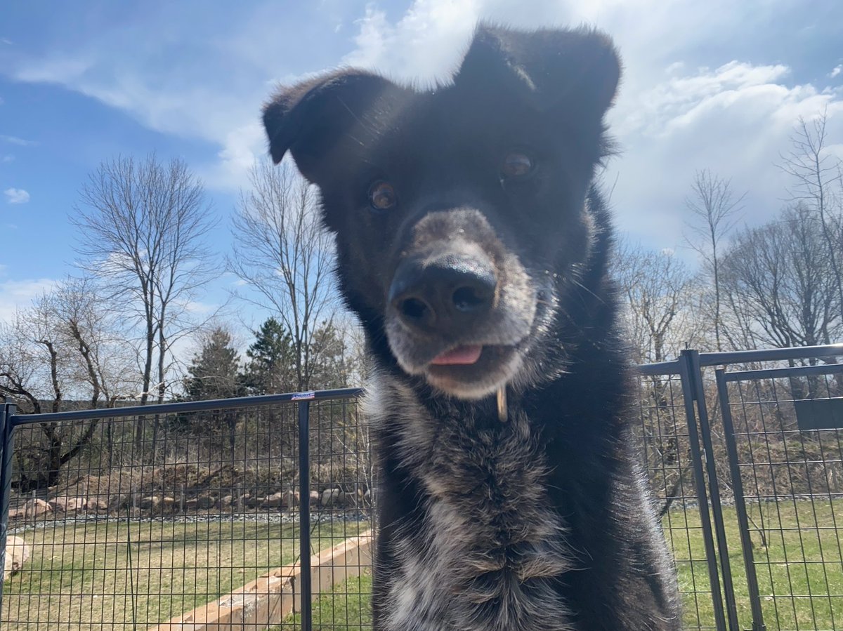 Blair Braverman tweet media