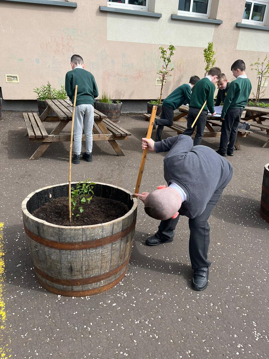 StJohnsPG's tweet image. P5 loved taking their measuring outside today. #MathsInAction