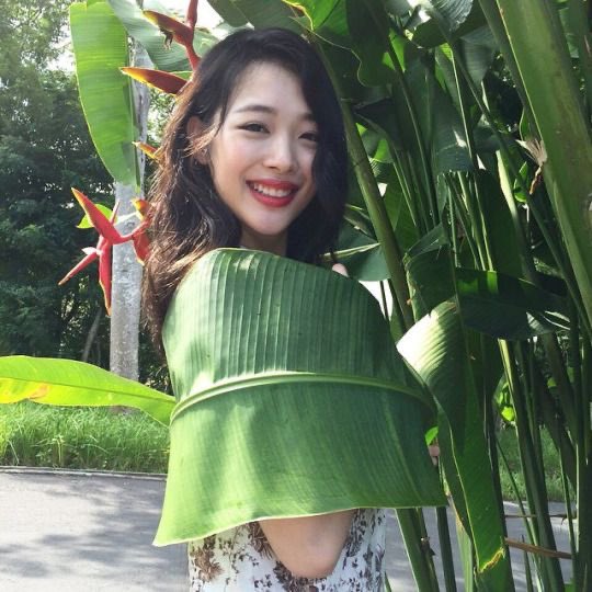 hourlysulli's tweet photo. 💚 https://t.co/7JweddE1Kw