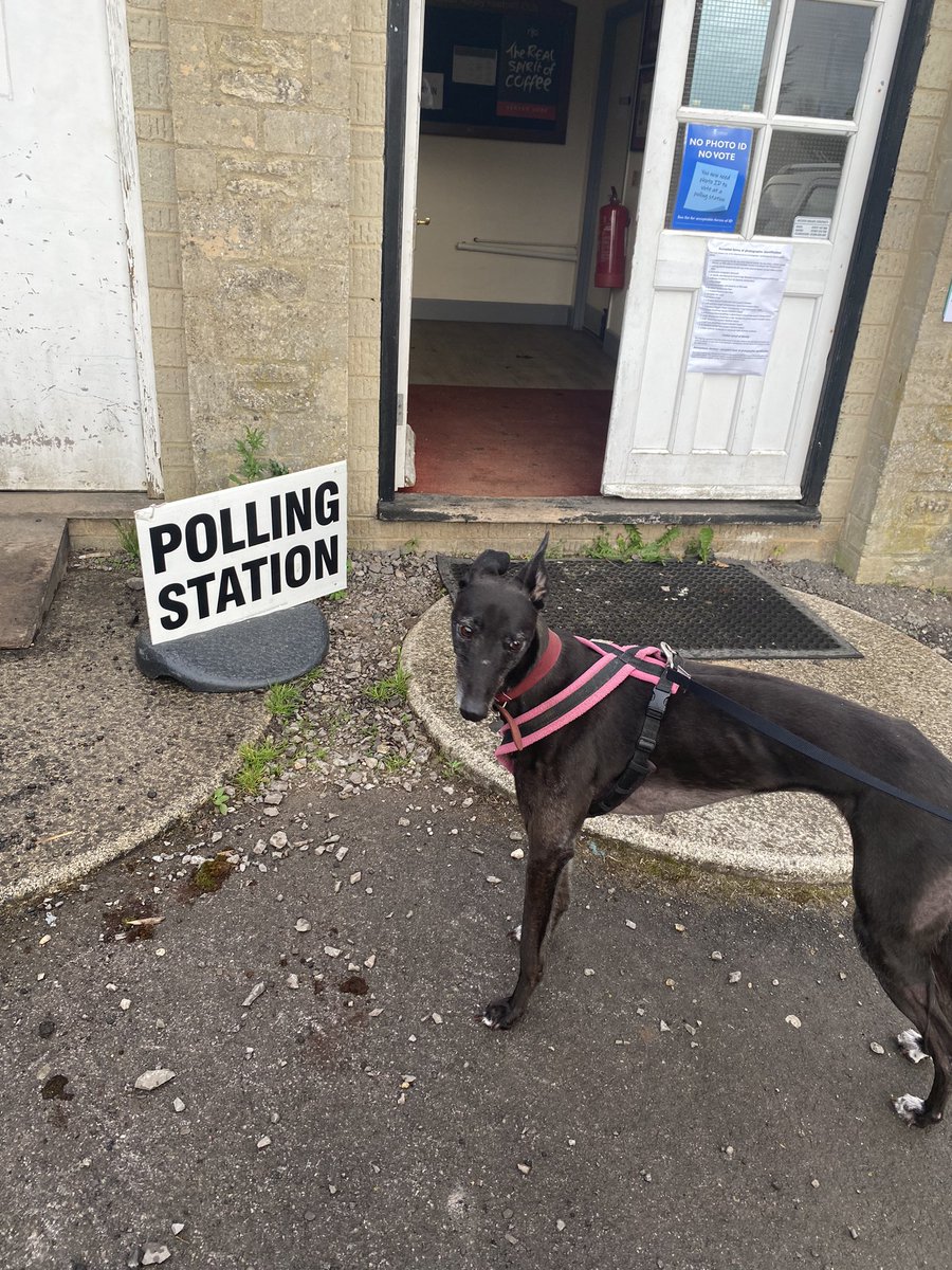 ellaroo1's tweet photo. ‘I’ve told you who to vote for, now get in there.’ #dogsatpollingstations https://t.co/jXePI7zFvq