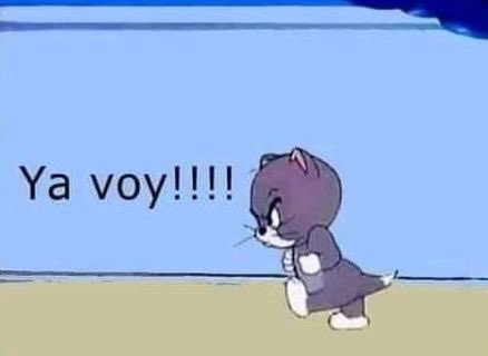 pastranoria's tweet photo. El domingo iba anular pero ya bueno oh no anularé!!!

Igual iré así a votar #ListaD https://t.co/WhVuj6Tg9N