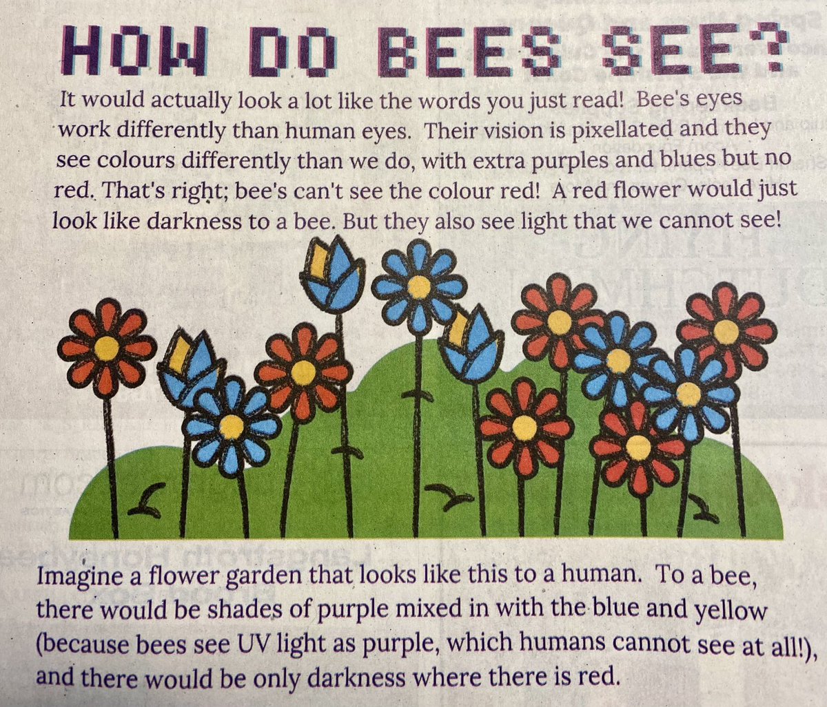 B_J_Sherriff's tweet photo. How do bees see?m👀🐝🐝🐝🐝 ? ⁦Did you know that @B_J_Sherriff⁩ we produce bee suits in many tried and tested bee friendly colours. #bees #honeybees #beefriendlycolours #beesuits #livebees #lovebees #honey #honeycomb https://t.co/TUEUykgvkI