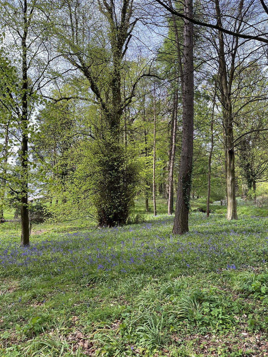 Juulia Spets tweet media