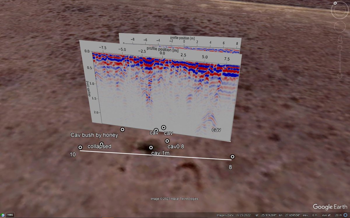 Having fun correlating animal burrows (cav) mapped on surface with #GPR anomalies...not always simple

Appreciating free software like #GoogleEarth and #GPRPy. And the great geophysical equipment we have at <a href="/WitsGeoscience/">Wits Geosciences</a>