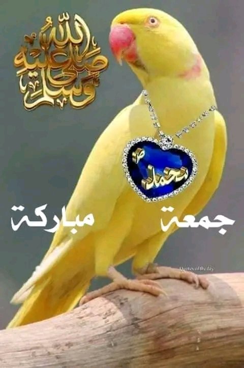 bnltf1's tweet photo. احلا.مسا،لحلا،متابعين https://t.co/YxN9sNdRoE