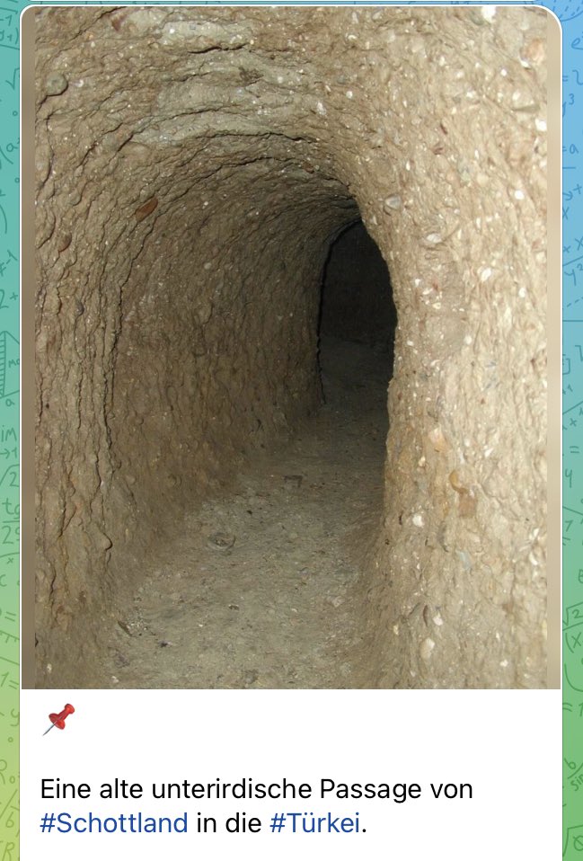 MT aus HB | AG Enbys in der AfD tweet media