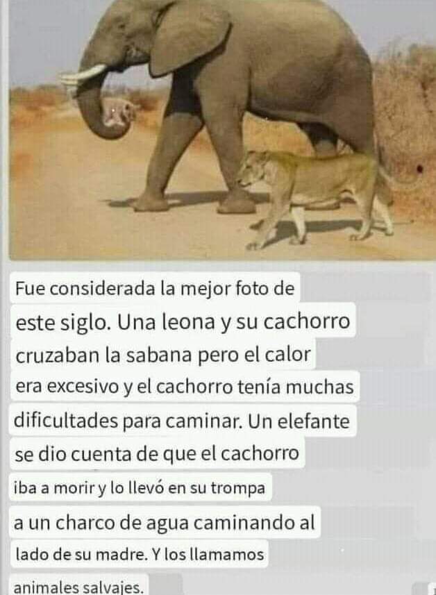 Mucho tenemos que aprender...
#LaSiembraPetrolera 

<a href="/chande5035/">chande</a>
<a href="/KarolSalas89/">🌴🌴🥥Karol Salas🥥🌴🌴</a>
<a href="/JosRodi6/">Jose</a>
<a href="/KarolSalas89/">🌴🌴🥥Karol Salas🥥🌴🌴</a> 
<a href="/Alvarex2808/">Alvarex</a>
<a href="/EverJulio13/">EVER JULIO PSUV</a>
<a href="/Josefinc055/">Josefina</a> 
<a href="/Angelito20251/">Angelito2025 Santi</a> 
<a href="/patriatwits/">twitsrevolucionario</a> 
<a href="/nesyhu2/">nesyhu2</a> 
<a href="/Ayaros2110/">Soraya</a> 
<a href="/patrias21964753/">💝💫patria,socialista venceremos💫💝</a>
<a href="/Vientosuaveaya/">Vientosuaveyapacible</a>
<a href="/bladimirmo70030/">bladimir montilla</a> 
<a href="/kristof8419/">kristofer</a> <a href="/jesus372333/">mildre</a>