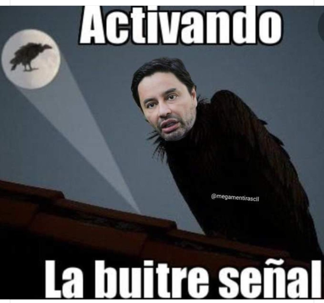el_bicherio's tweet photo. .#Contigoen directochv La Ratona KARINA ALVAREZ, tiene la pura cara DE WEONA, está a la altura DEL PINOCHETISTA INFELIZ DE ROBERTO COX, ambos son la primera línea del FACHERIO. La ratona es jefa DE RRPP DEL CORRUPTO LUCIÉRNAGA BÓTOX CARTER. SON BANDEJEROS de la DERECHA. CHV. https://t.co/dHu8yrAPSE