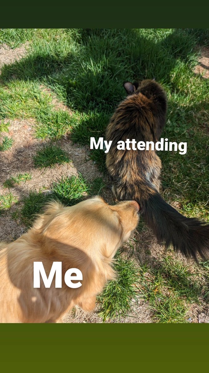 Please enjoy this thoroughly accurate depiction of my surgery rotation