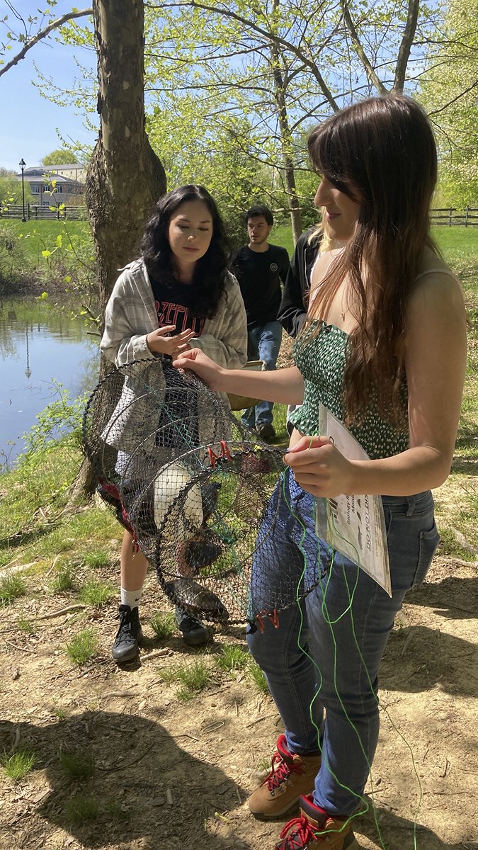 HarfordCC's tweet photo. Harford is home to Fighting Owls and TURTLES! 🐢 Campus pond – perfect place for real-life research experiences in #STEM education. Maybe we need a new mascot??? @AA_ecoprof https://t.co/KW1DQWBPYH