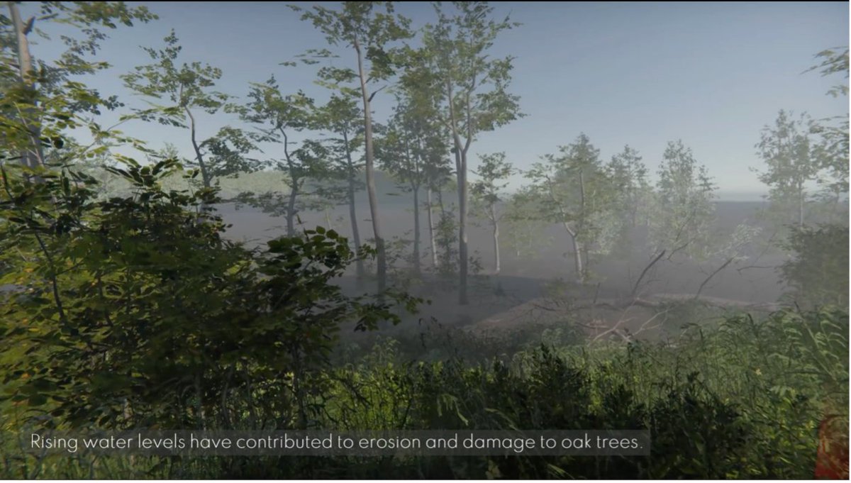 MSU Forest Carbon and Climate Program (FCCP) tweet media