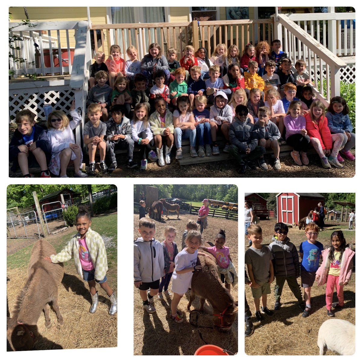 ButlerSAEKinder's tweet photo. Kindergarten had a farmtastic field trip to @theartbarn! @SweetAppleES https://t.co/eLTQoDodzQ