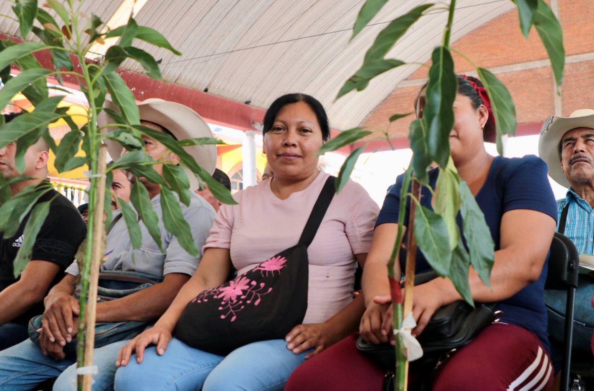 En beneficio de las y los productores locales impulsamos el Programa para Devolverle la Grandeza al Campo con la entrega de árboles de aguacate, café, lichi y limón, destinando 15 mdp para 680 hectáreas productivas.