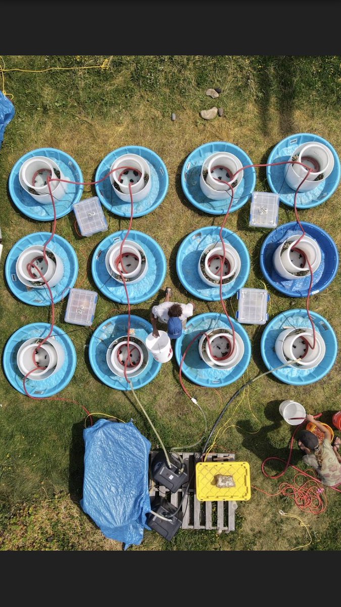 ecostoich's tweet image. STOICH Project team member and post-doc at UWYO @bbtumolo recently published in Ecology! Read more here: doi.org/10.1002/ecy.40…
@ESA_org @UWyonews 
#STOICH #stoichiometry