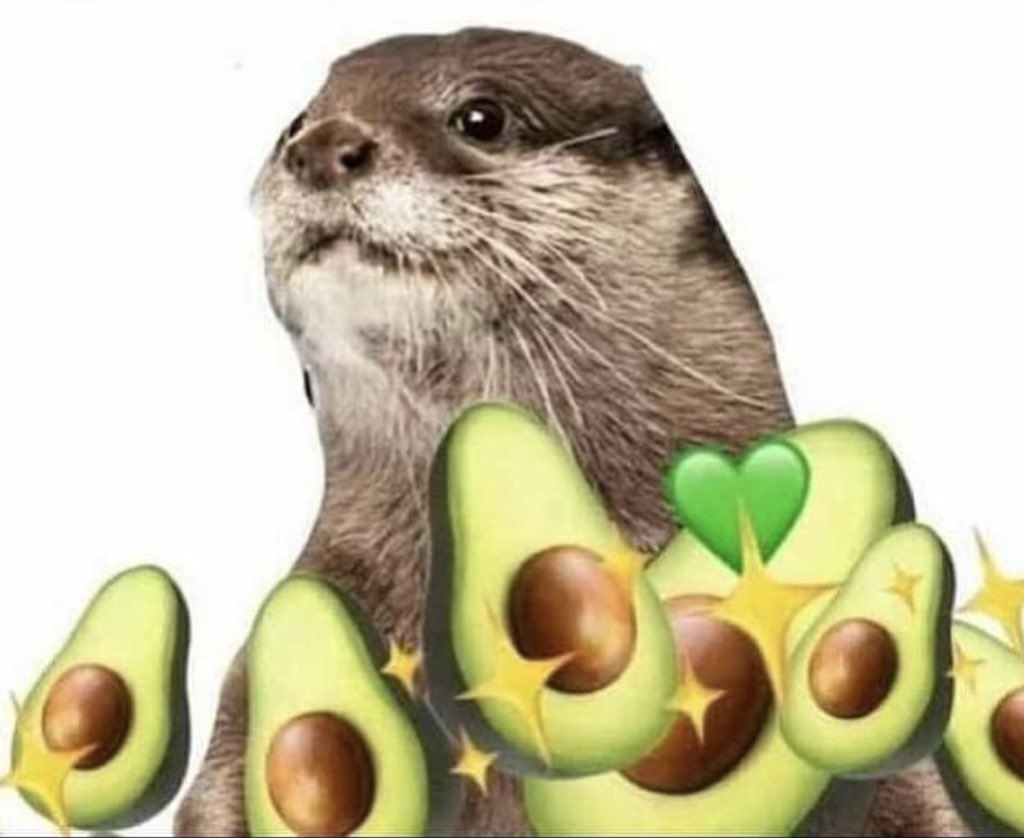 Guarromantico_'s tweet photo. En este perfil sabemos escoger aguacates, pero no pareja. https://t.co/D8iM0pWM5o