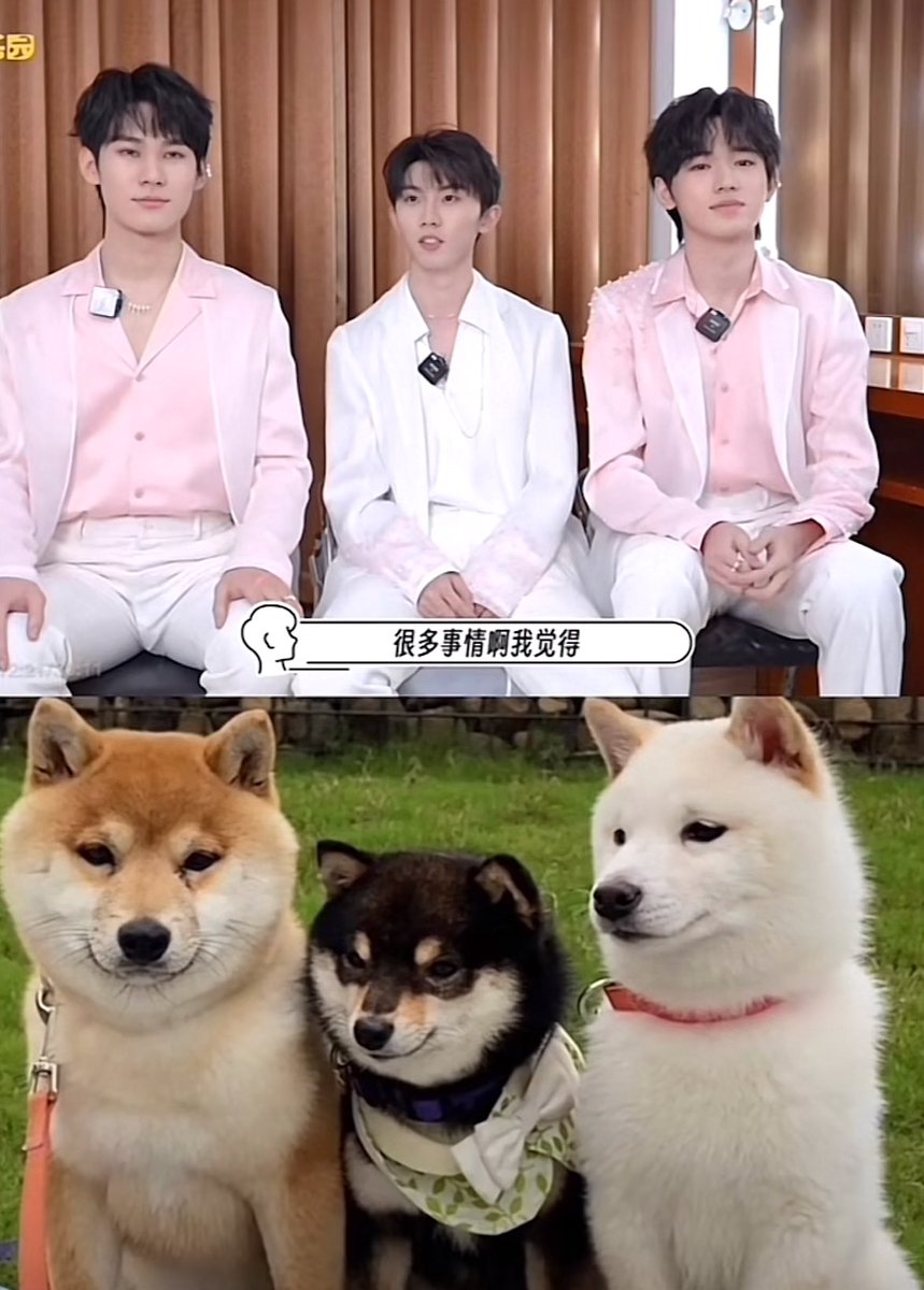 baobei_zt's tweet photo. 55555555555555555555555555 https://t.co/Tmysm1q2dG