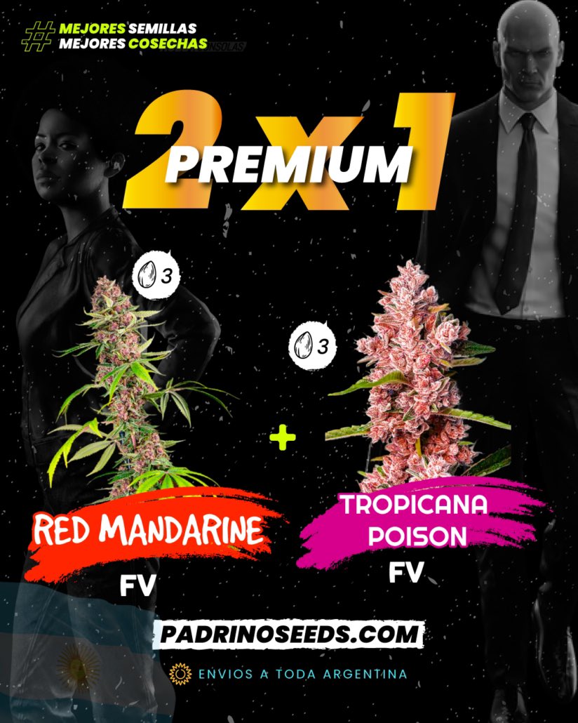 Padrinoseeds420's tweet image. Weednas Noches Gente Linda🍃💚
Arrancamos este Mes De Mayo Con
#2x1 En #fastversion 
Padrinoseeds.com 🇦🇷💚💛❤️