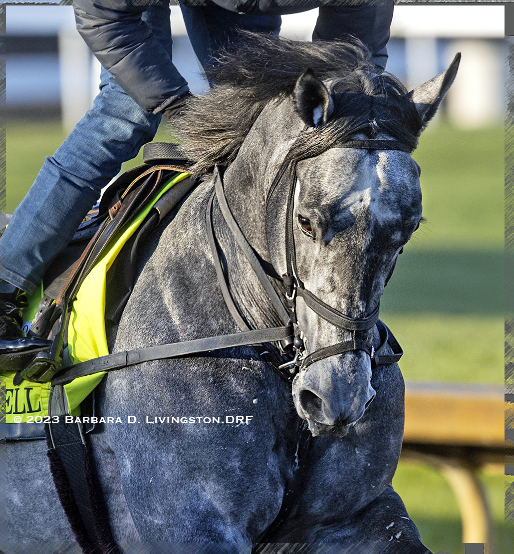 Barbara Livingston on Twitter to the Kentucky Derby field