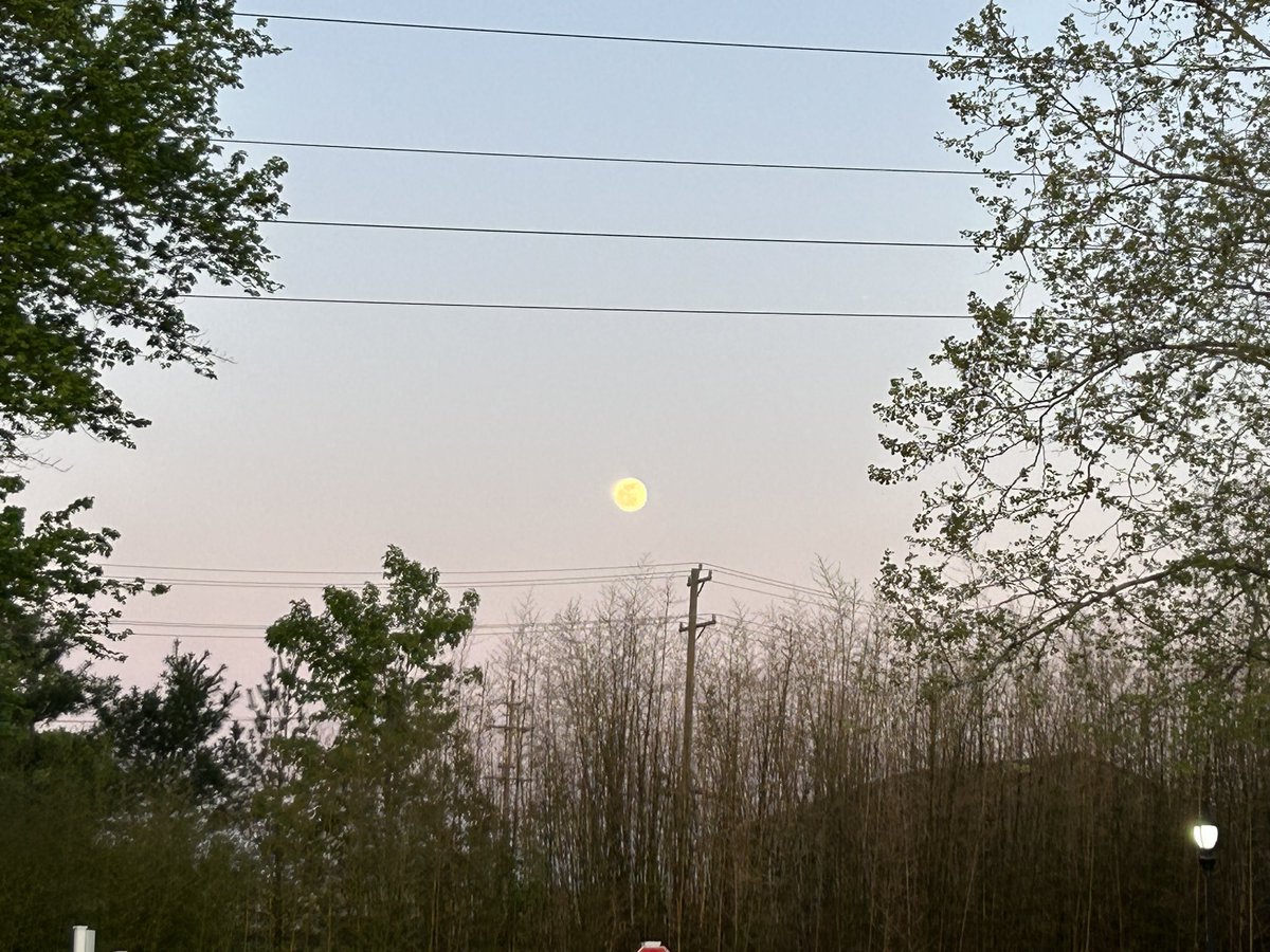 cincygreghoodin's tweet photo. โThereโs a moon out tonightโ beware of werewolves drinking pina coladas #FullMoon or at least reeeeeeeaaaaalllllyyy close to it . #springincincy #thursdayvibes https://t.co/5f0tiNkGyx