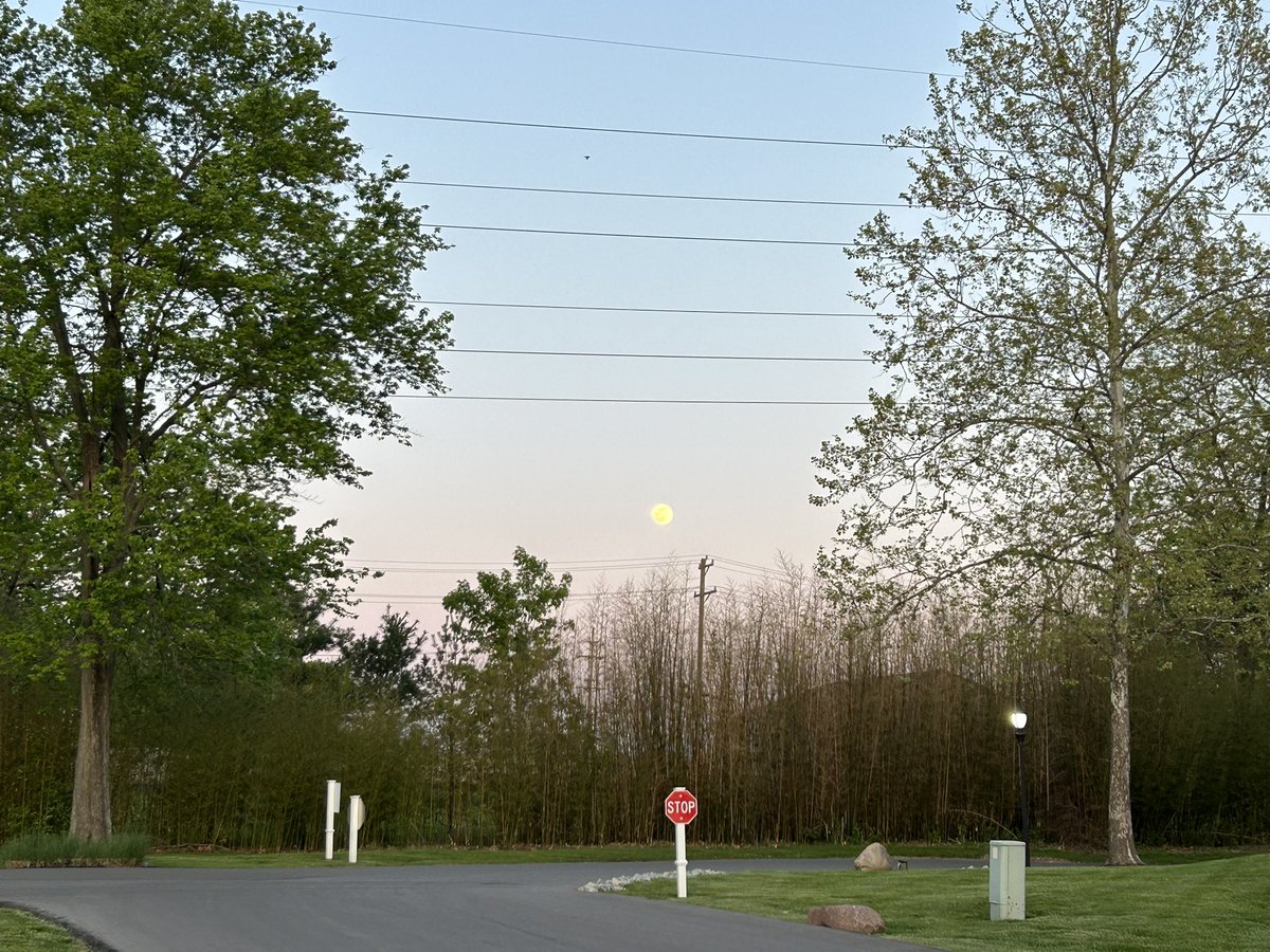 cincygreghoodin's tweet photo. โThereโs a moon out tonightโ beware of werewolves drinking pina coladas #FullMoon or at least reeeeeeeaaaaalllllyyy close to it . #springincincy #thursdayvibes https://t.co/5f0tiNkGyx