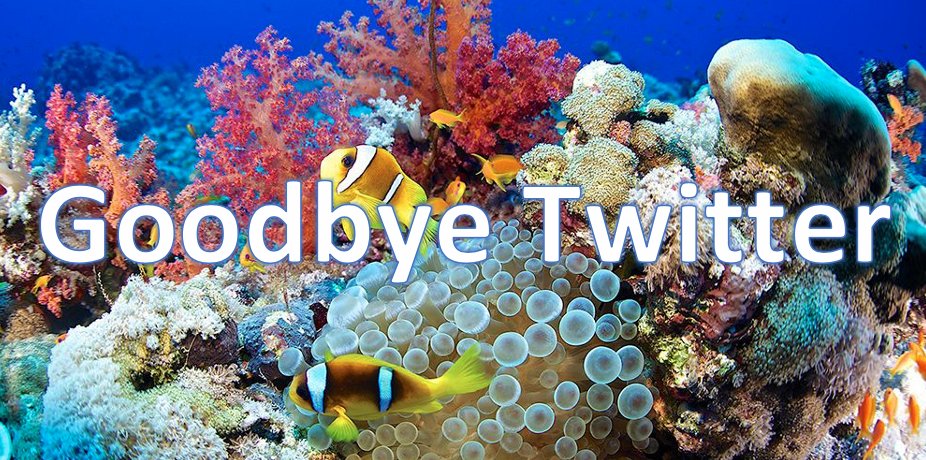 unrjourgrace's tweet photo. My favorite part of the semester has been making Tweets! #rsj108 https://t.co/tEYOiICbXP