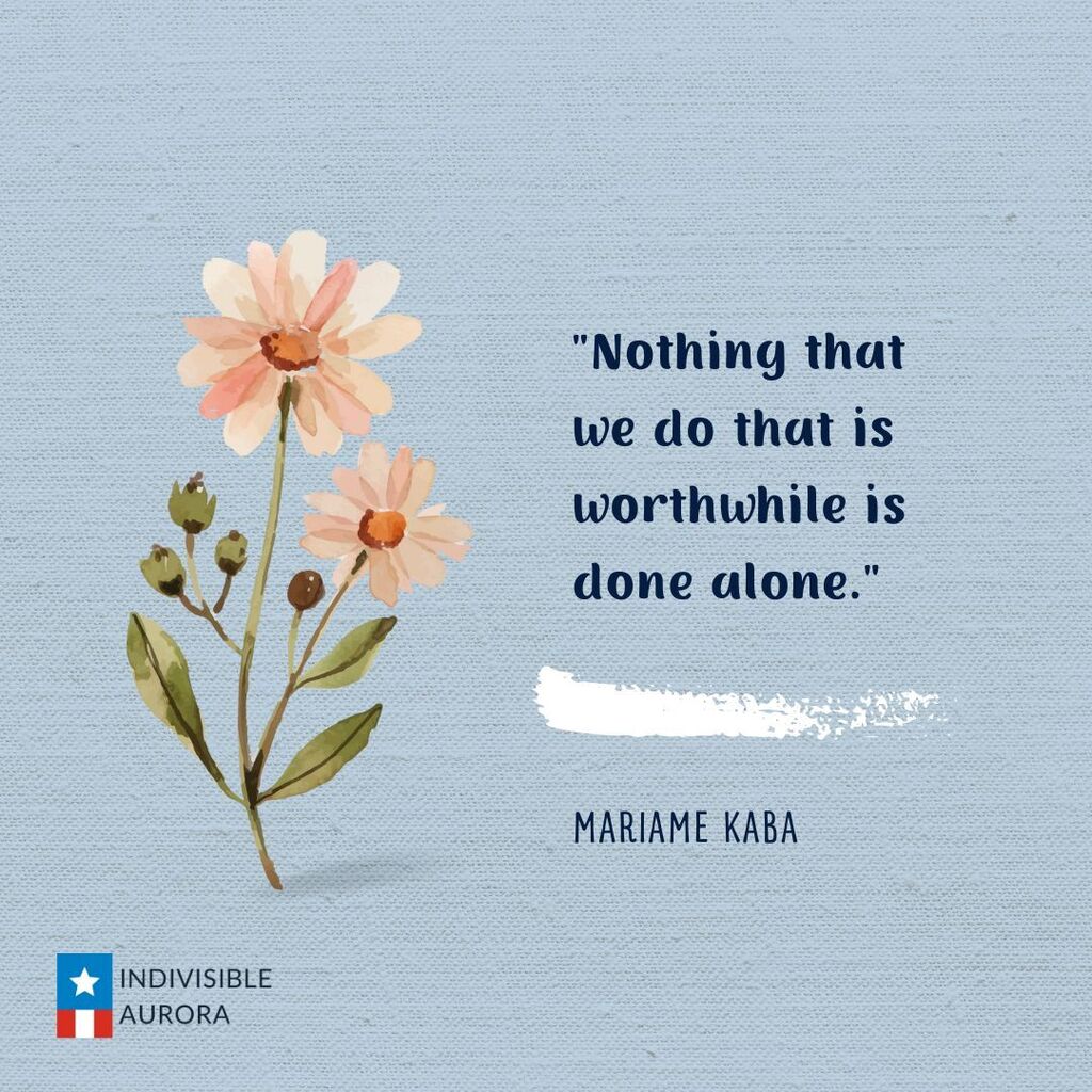 Indivisible Aurora tweet media