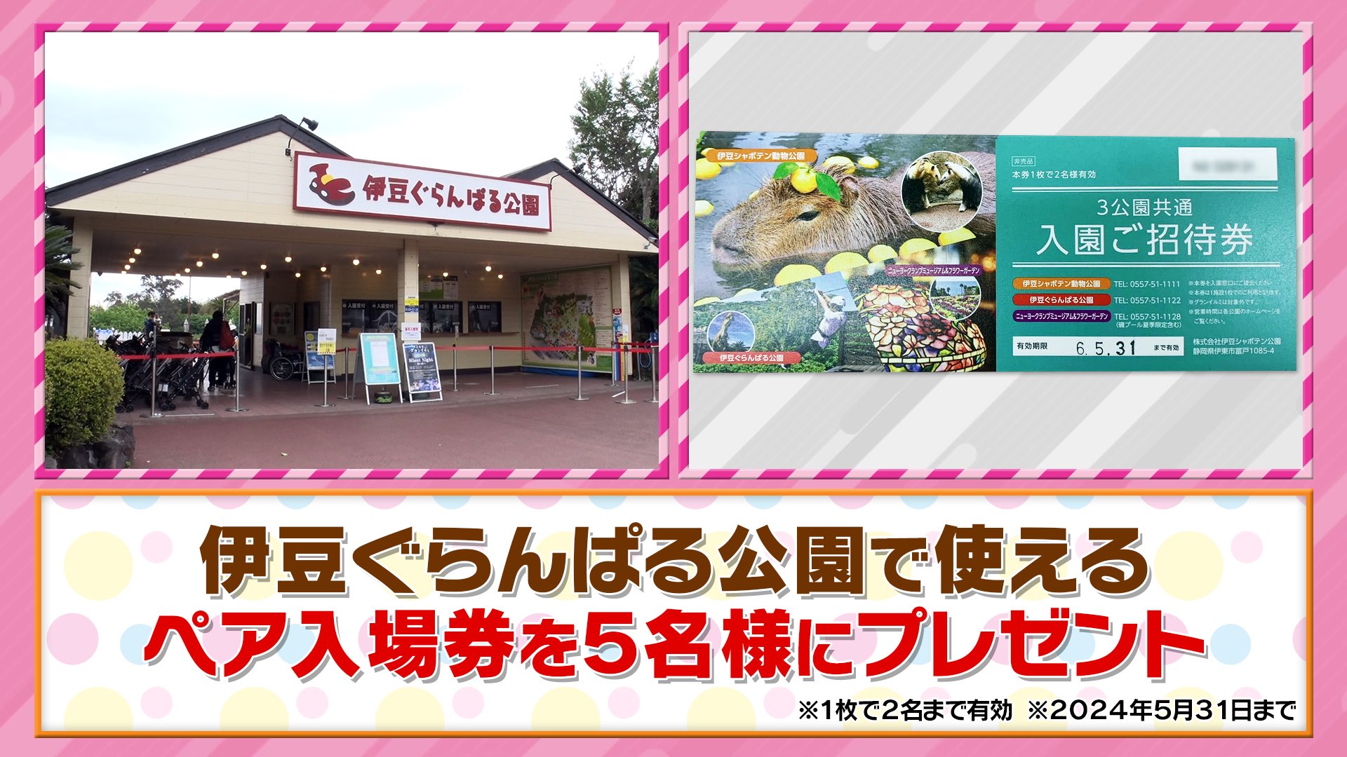 N様専用】伊豆シャボテン公園 3公園共通入園ご招待券 ペア2名分 N様専用】伊豆シャボテン公園 3公園共通入園ご招待券 ペア2名分