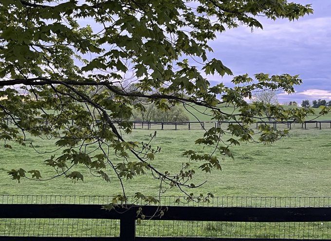 So beautiful! https://t.co/RkSpsfSYnw<a href="/tag/oldesthuntinthecountry"class="tags"><span>#oldesthuntinthecountry</span></a>
