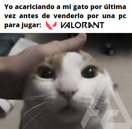 GamingAbsolute_'s tweet photo. ¡Vengan a apoyarnos en nuestras partidas!
https://t.co/xmRR0AdxtU
No tengo gato...
#VALORANT #Absolutegaming #cats #pcgames https://t.co/ZDytyvdaCj