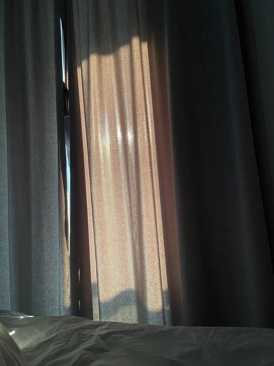 ToMilesi's tweet photo. これは朝の最初の日差しです
ベッドのそばに日光が降り注ぐ。
素晴らしい一日が始まりました！ https://t.co/prrujGcYKj