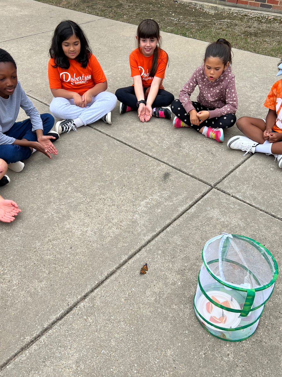 Miranda Surles tweet media